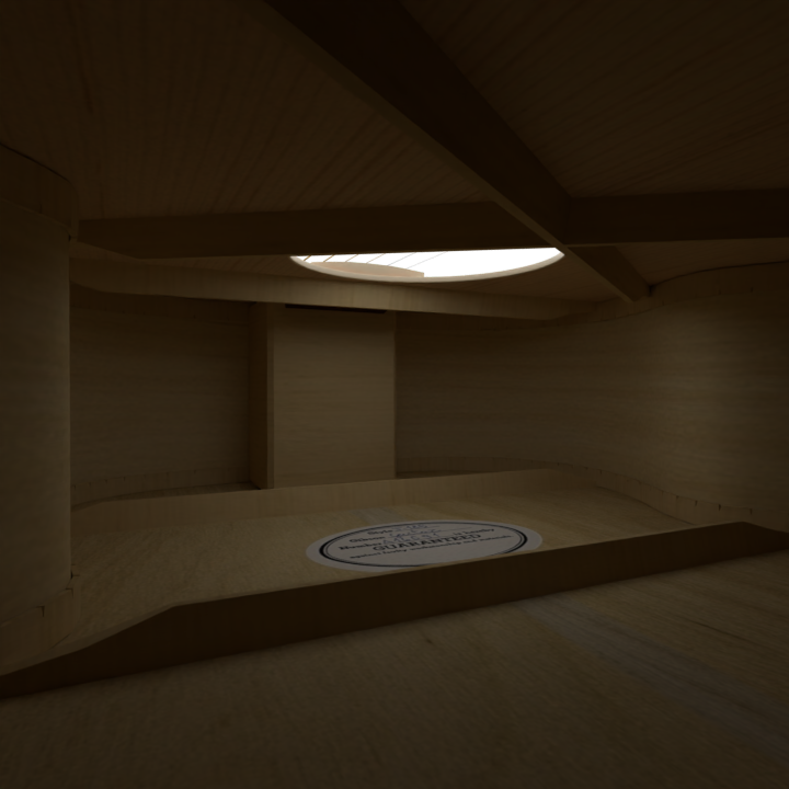 Guitar interior detail